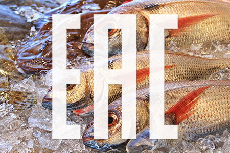 TR EAEU 040/2016 On safety of fish products